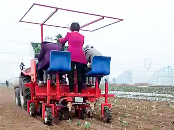 西藍(lán)花移栽機(jī)的特點